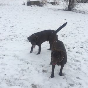 Meet your Posher, Mckenna